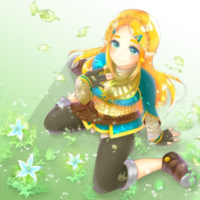 Zelda 