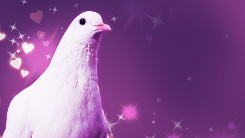 Hatoful Boyfriend Game Icon