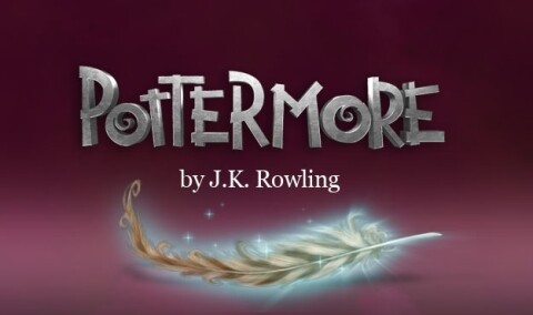 Pottermore Game Icon