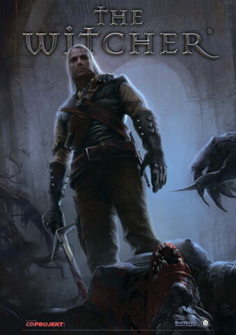 The Witcher Ícone de jogo