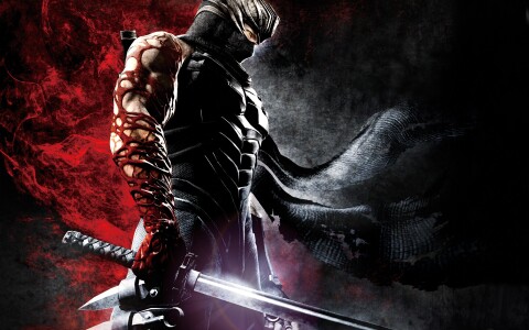 Ninja Gaiden 3 Ícone de jogo