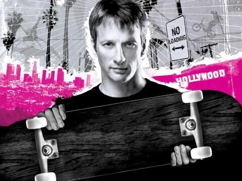 Tony Hawk's American Wasteland Game Icon