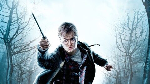 Harry Potter and the Deathly Hallows: Part 1 Ícone de jogo