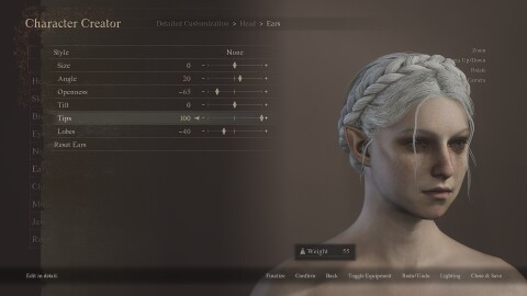 Dragon's Dogma 2 Character Creator & Storage