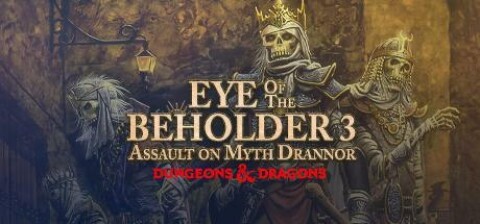 Eye of the Beholder 3: Assault on Myth Drannor