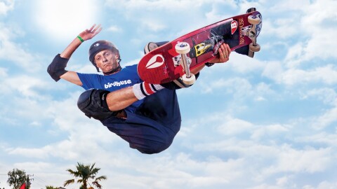 Tony Hawk's Pro Skater 5 Icône de jeu