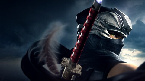 NINJA GAIDEN Σ2 Game Icon