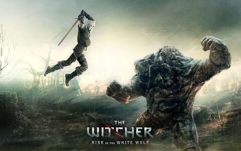 The Witcher: Rise of the White Wolf Icône de jeu