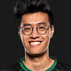 Joueur WildTurtle Image