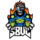 S8UL Esports Logo