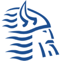 Team Lyngby Vikings Logo