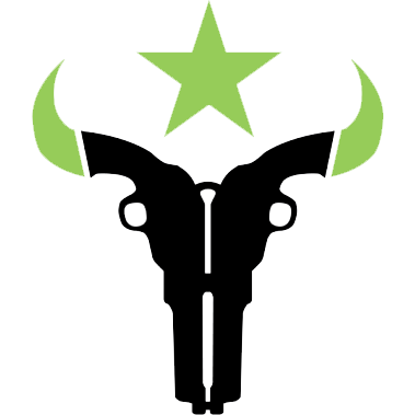 Houston Outlaws logo