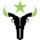 Houston Outlaws Logo