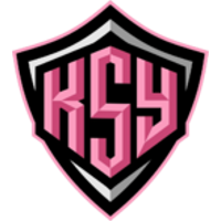 Team KSY Logo