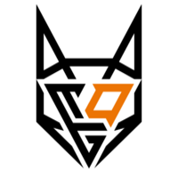 Équipe TeamOrangeGaming Logo