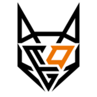 Équipe TeamOrangeGaming Logo