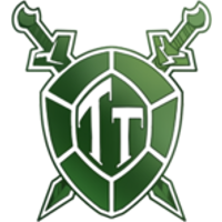 Team Turtle logo