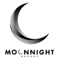 MoonNight Esport logo