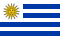 Team Uruguay Logo