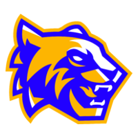 SDM Tigres