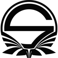 Équipe Team Singularity Logo