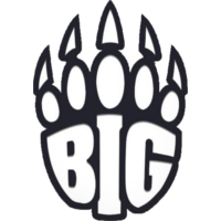 BIG Academy logo