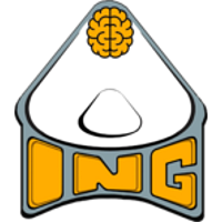 Team inG Logo