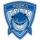 VODKA TEAM Logo