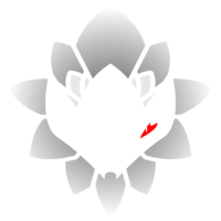 NCG Esports