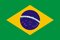 Team Brazil Logo