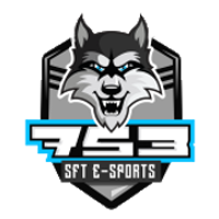 Équipe SFTe-sports Logo