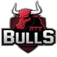 Equipe GTZ Bulls Logo