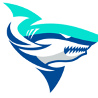 Team MS Chonburi Logo