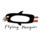 Flying Penguins Logo