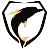 Team Intense Game Logo