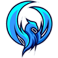 Équipe Night Wings Gaming Logo