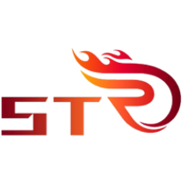 Team Team ST Logo