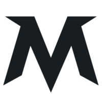 Team Team MAX Logo