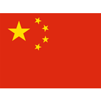 Team China Logo