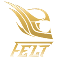 Team Felt Logo