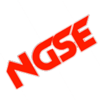 Équipe nGse Logo