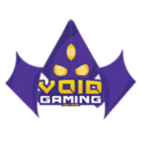 Team Void Gaming Logo