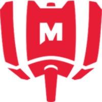 Team Mandatory Logo