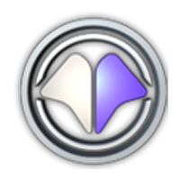 Team Millenium Logo