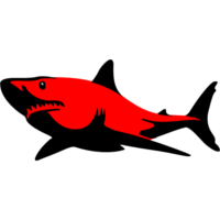 Équipe Sanguine Sharks Logo