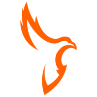 Team Karasuno Logo