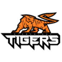 Équipe Intergalaxy Tigers Gaming Logo