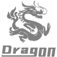 Team Dragon Logo