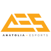 Équipe Anatolia Esports Logo