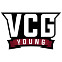 Equipe Vicious Gaming Young Logo